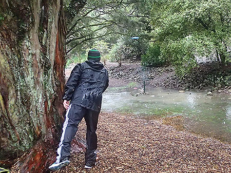 Disc Golf New Zealand